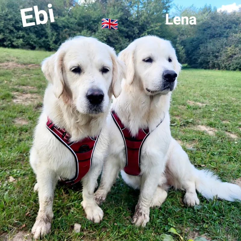 Ebi und Lena mit rotem Geschirr